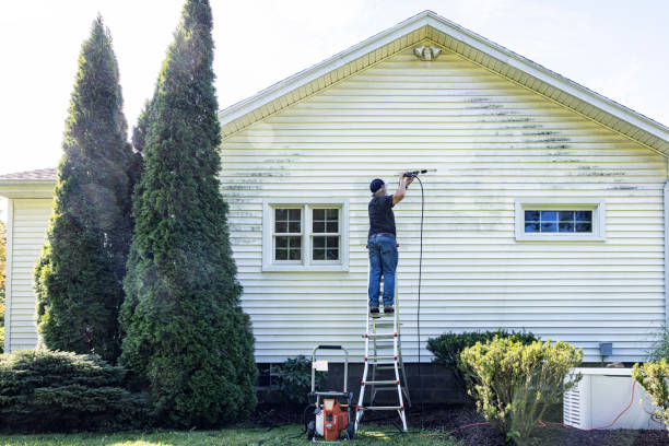 Best Driveway Pressure Washing  in Lynwood, CA